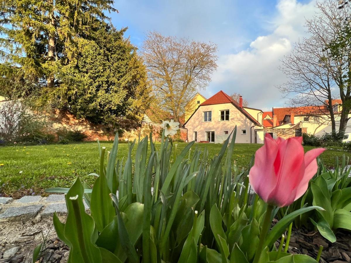 Apartament Om Yoga Center Slovenska Bistrica Zewnętrze zdjęcie