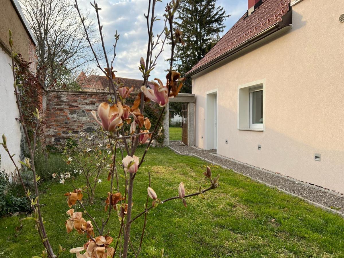 Apartament Om Yoga Center Slovenska Bistrica Zewnętrze zdjęcie