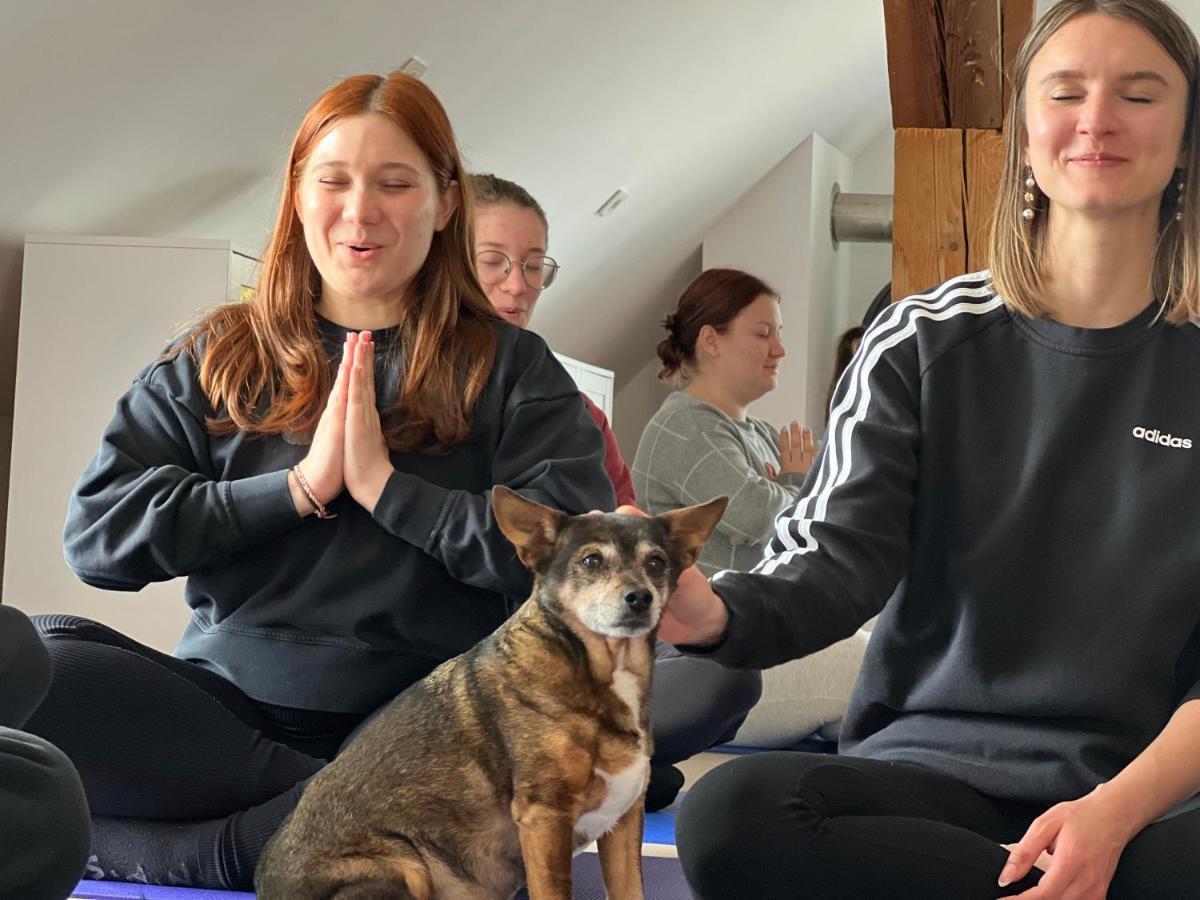Apartament Om Yoga Center Slovenska Bistrica Zewnętrze zdjęcie
